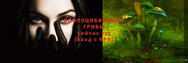 прущие грибы Алексин