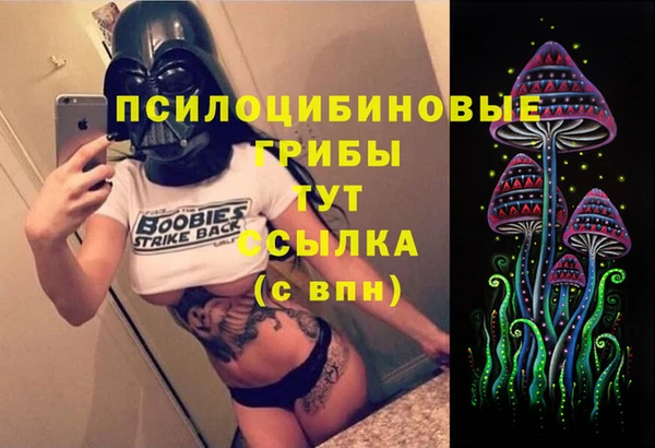 прущие грибы Алексин