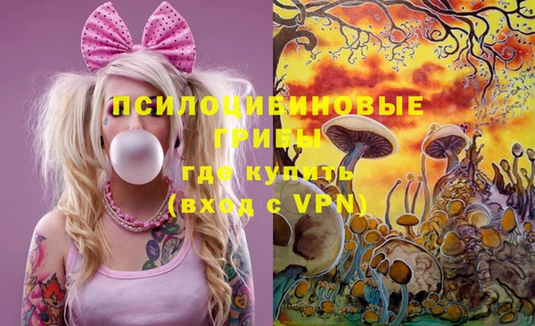 прущие грибы Алексин