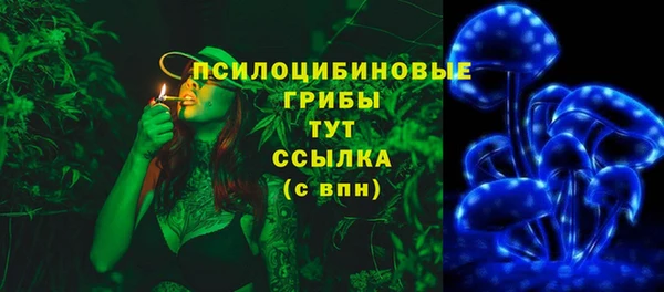 spice Арсеньев